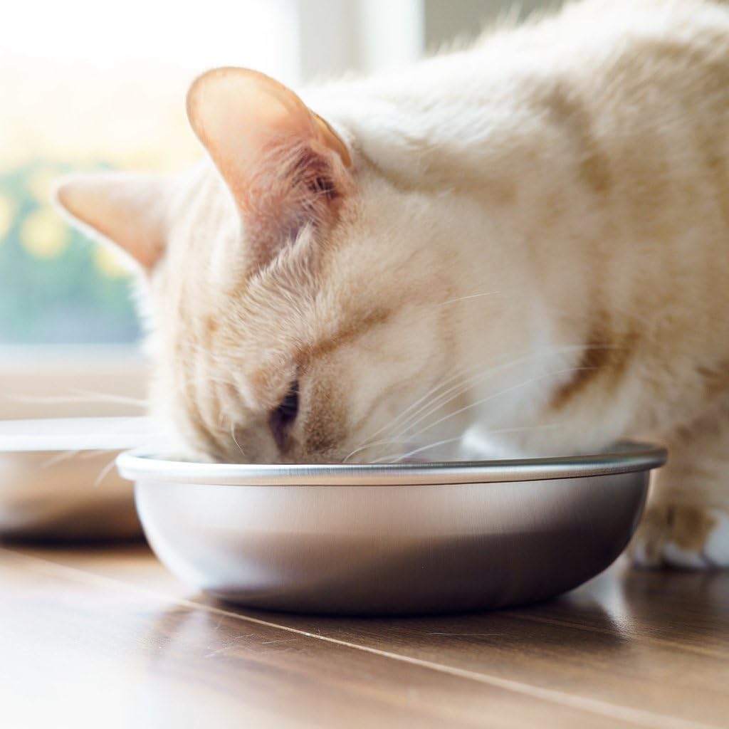 Stainless Steel Cat Bowls for Food & Water by Americat – Made in USA – Dishwasher Safe, Human Grade, Whisker Friendly Dishes (2 Bowls)