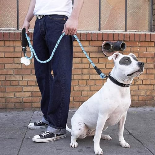 Reedeemit MA004 5 Ft Long, Heavy Duty Dog Leash thumb #6