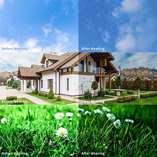 Lvioe Trendy Polarized Sunglasses For Women - Fashion Butterfly Decoration Driving Fishing With Uv Protection Ls022 #TOP3