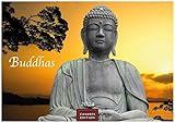  Buddhas 2024 L 35x50cm
