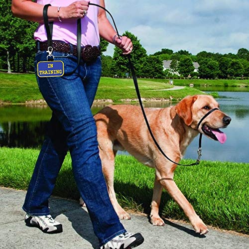 Service Dog "In Training” Identification Patch Tag | Clips On Service Dog Vest, Harness, Collar, Leash Or Carrier | Includes Five Service Dog Handout Cards #TOP6