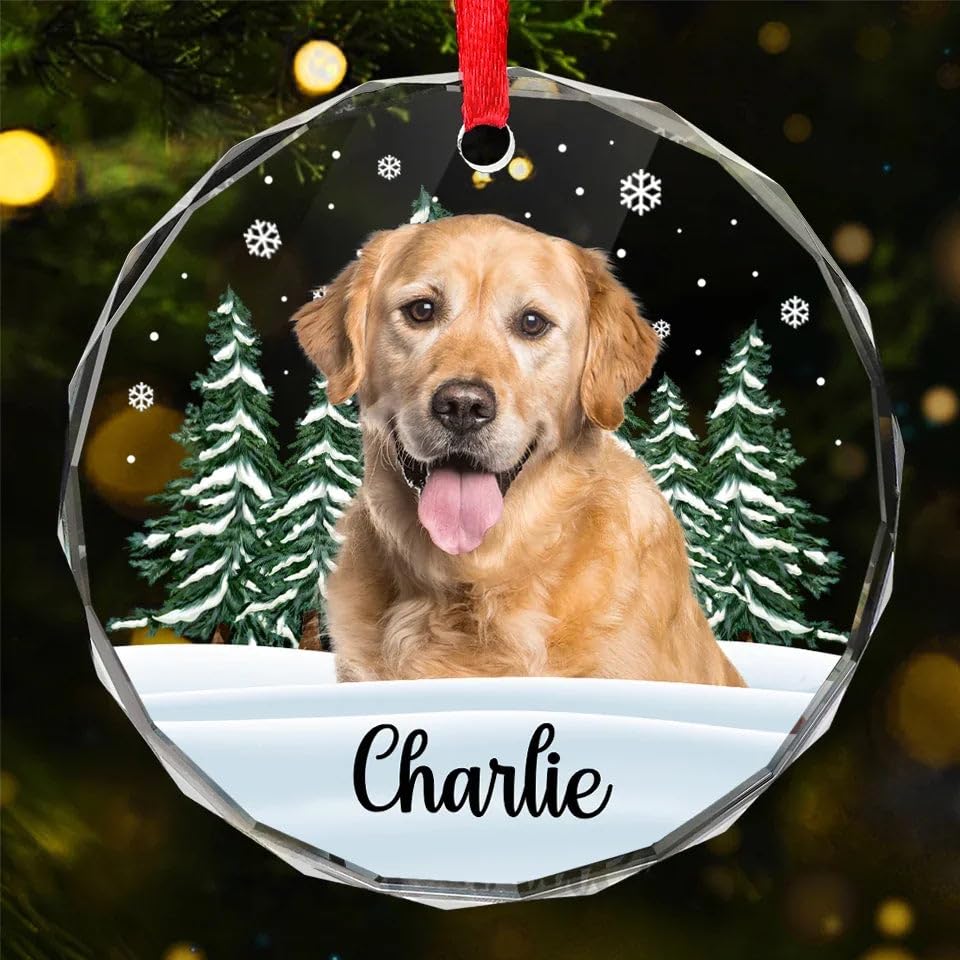 DOPTIKA Custom Photo Christmas Ornaments 2024, Personalized Circle Glass Ornaments, Birthday Gifts for Dog and Cat Lovers, Pet Ornament