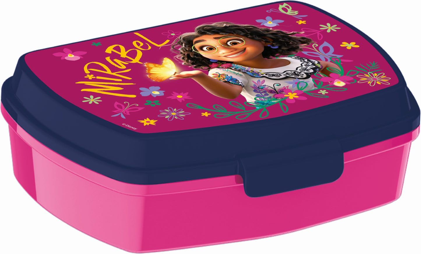 Contenitore Per Pranzo Sandwich Rettangolare Fascino - 16,5x11,5x5,5 Cm, BPA Free, Riutilizzabile