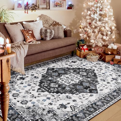 Amearea Vintage Design Area Rugs for Living Room