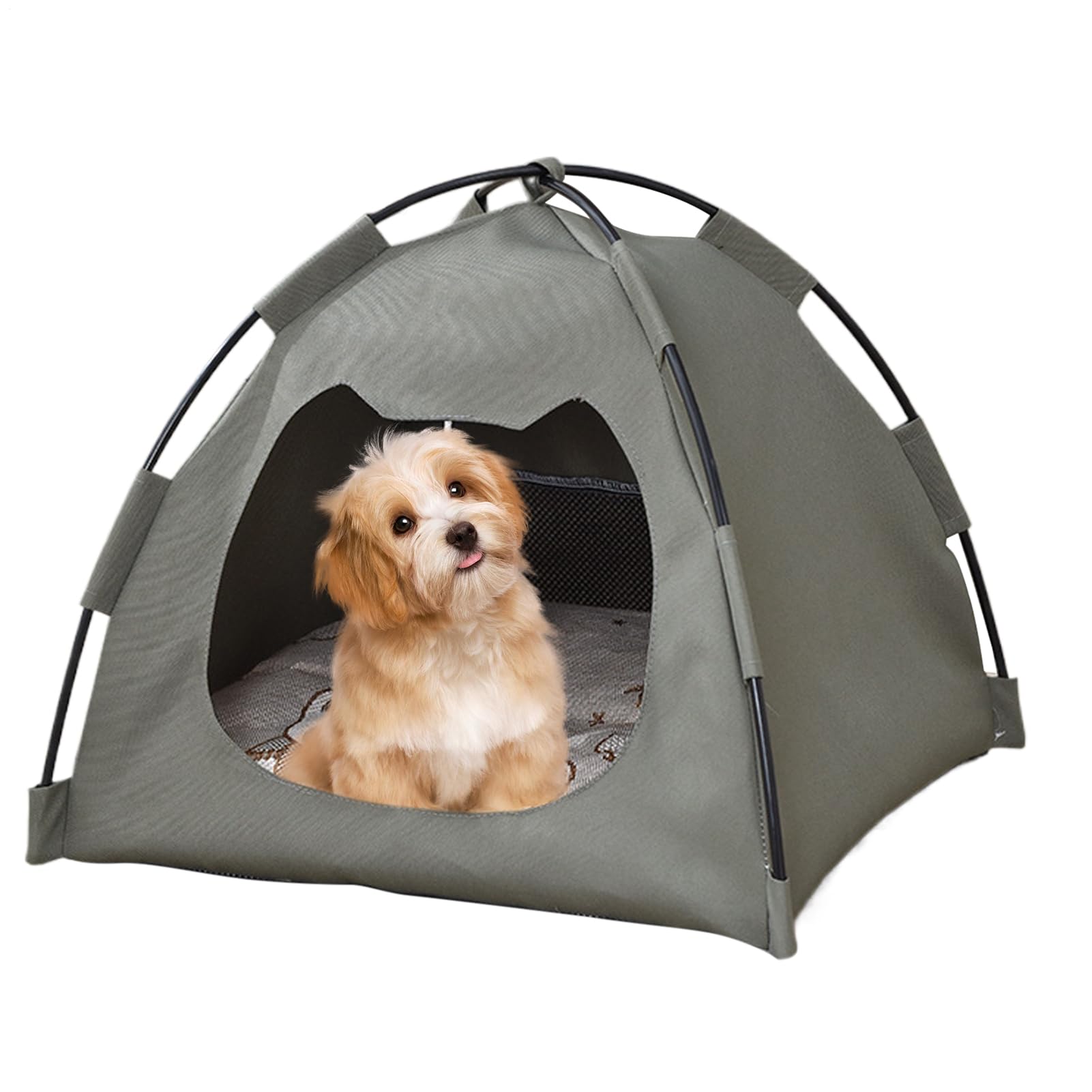 Tenda per Gatti da Interno ed Esterno Casa Tenda Impermeabile per Cani e | Morbido Trasportabile per Piccoli Animali in Tutte le Stagioni