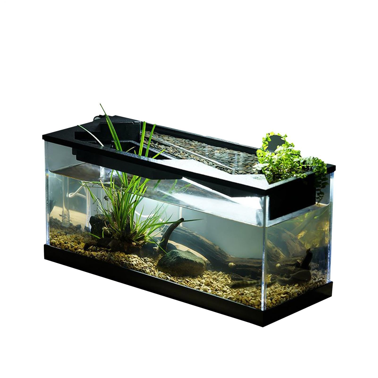 Fish Tank - Glass Fish Tank | Aquarium Starter Kits, Acrylic Clear Desk Aquarium With Filter, Air Pump Filter, Bowl With Filtration Oxygenation For Shrimp, Reptile