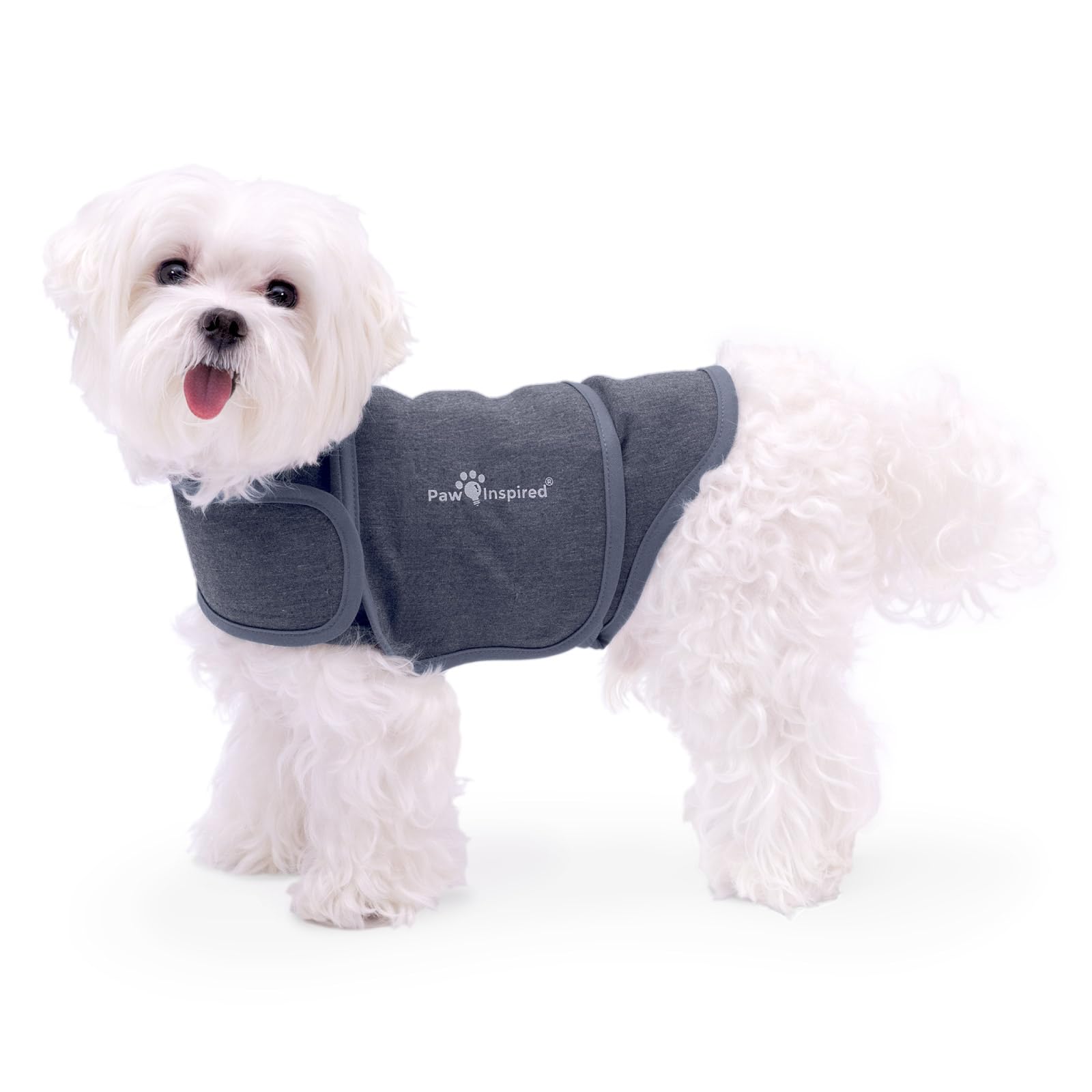 Paw Inspired Dog Anxiety Vest Gray XS