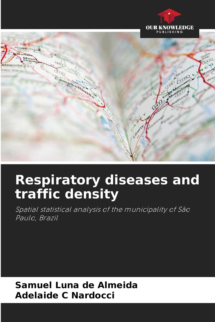 Respiratory diseases and traffic density: Spatial statistical analysis of the municipality of São Paulo, Brazil