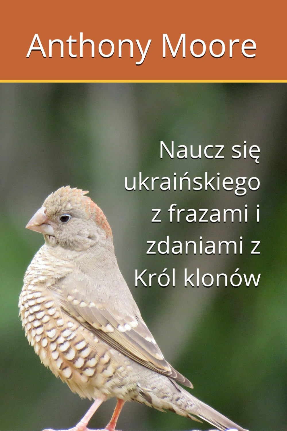 Naucz się ukraińskiego z frazami i zdaniami z Król klonów