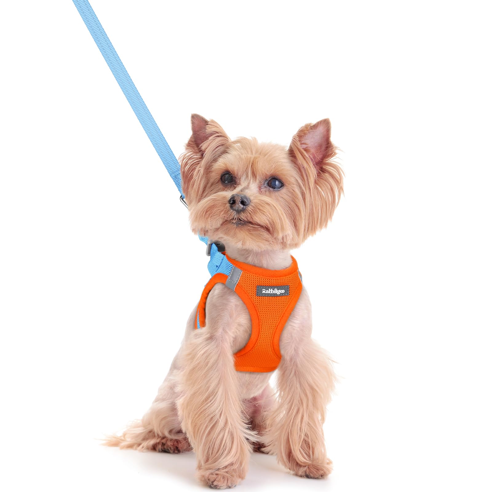 rabbitgoo Dog Harness Small Dog and Leash Set, Step-in Soft Mesh Puppy Harness with Reflective Strips, Lightweight Breathable Pet Vest for Walking Training, Blue & Orange, XXS