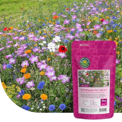 MRS Mélange de fleurs sauvages annuelles et vivaces - 50 g pour 25 m² - 62 variétés de fleurs multicolores riches en nectar - Attire abeilles et papillons