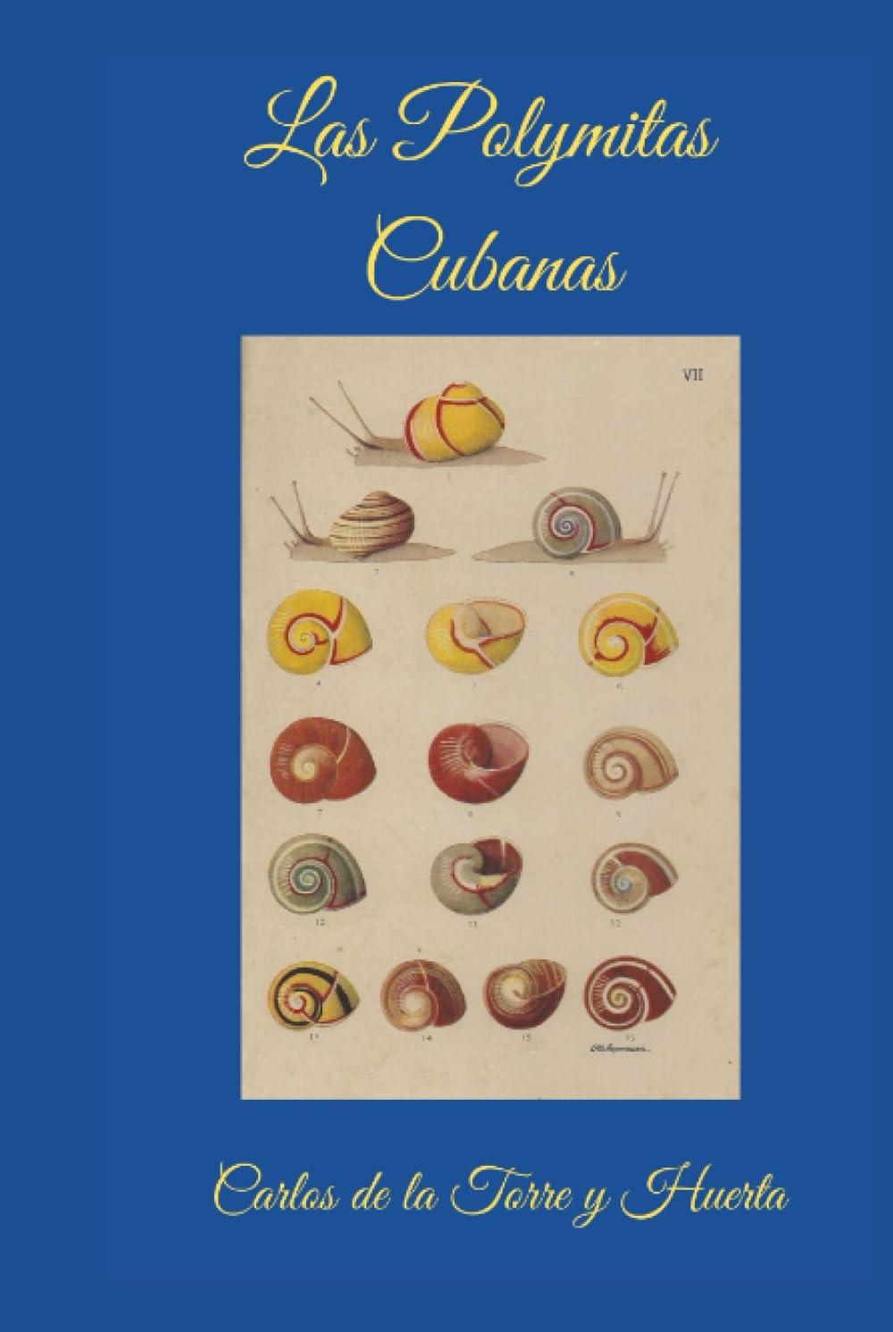Las Polymitas Cubanas: Estudio Anatómico (Herencia Cultural Cubana)