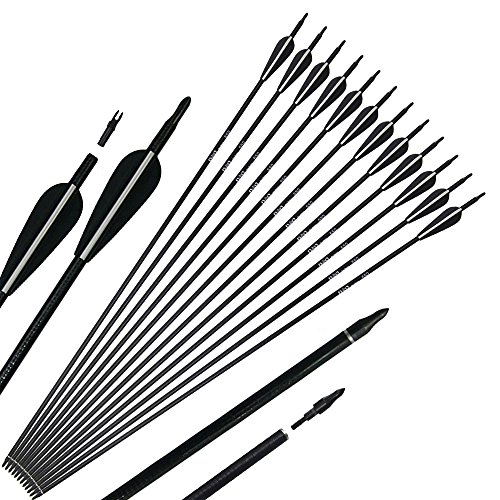 image for D&Q Bow and Arrow for Adults Takedown Recurve Bows Hunting Bow Archery