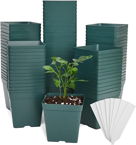 June Fox 100 Pack Green Square Nursery Pots with Drainage