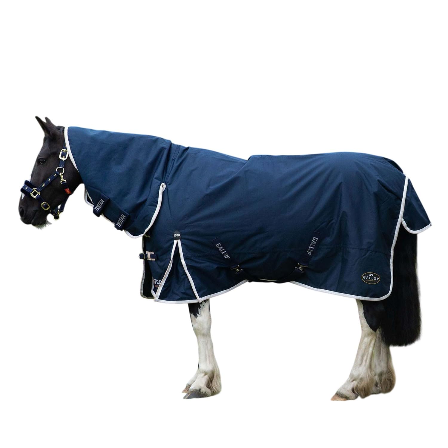 Gallop TROJAN Duraproof 100g Turnout Combo (6'6)