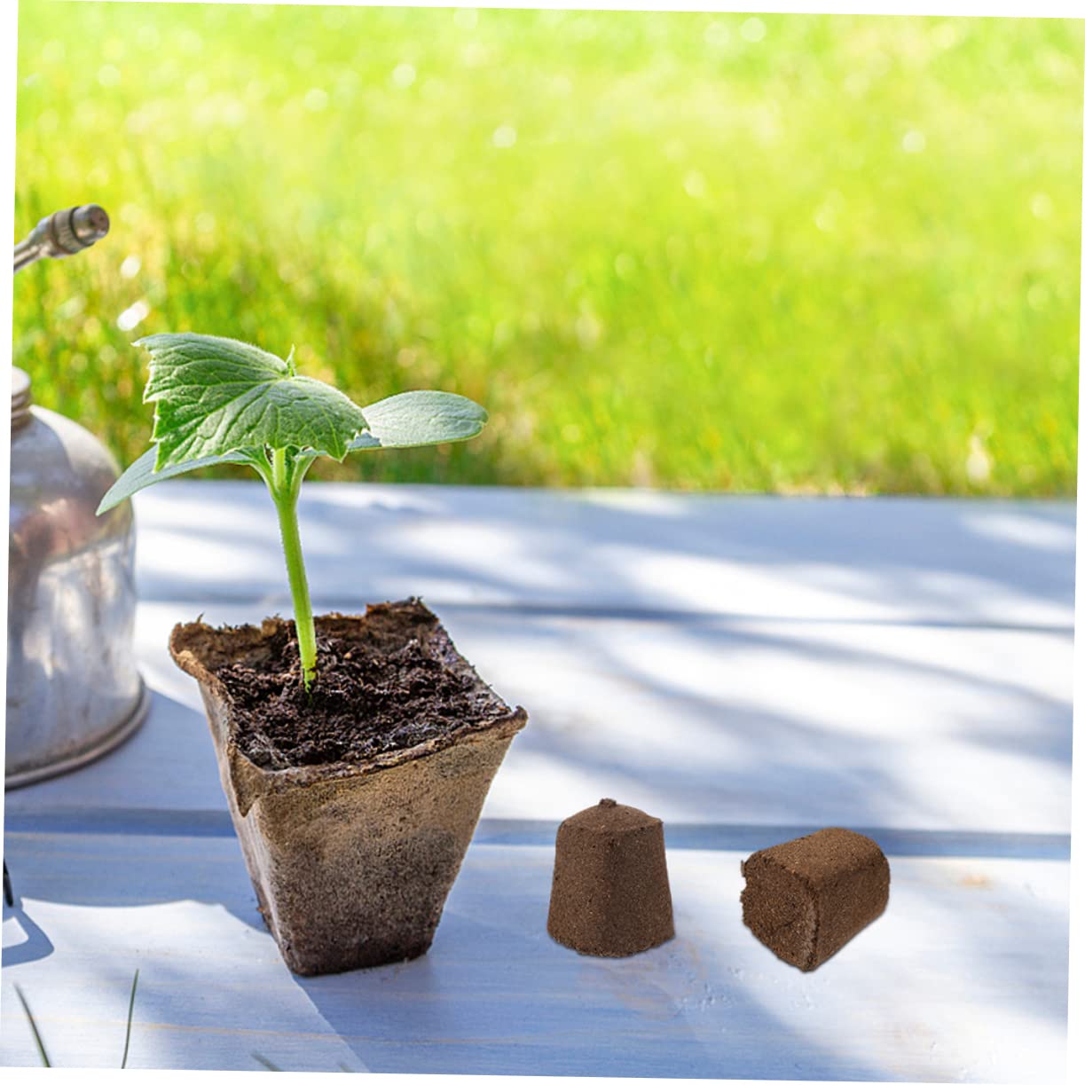 Sosoport 60piezas Bloques De Cultivo De Turba para Jardín Sustrato Profesional para Plántulas Hidratante y Transpirable para Trasplante