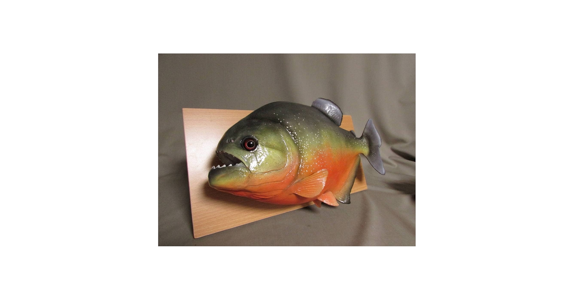 Amazon | ハンドメイド 38cmピラニア壁掛け 魚模型 牙魚 熱帯魚