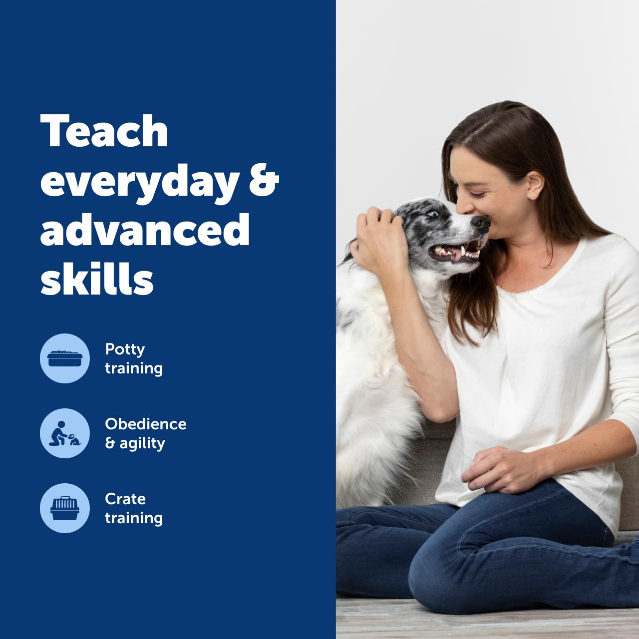 PetSafe Teach & Treat Remote Reward Trainer – Remote Treat