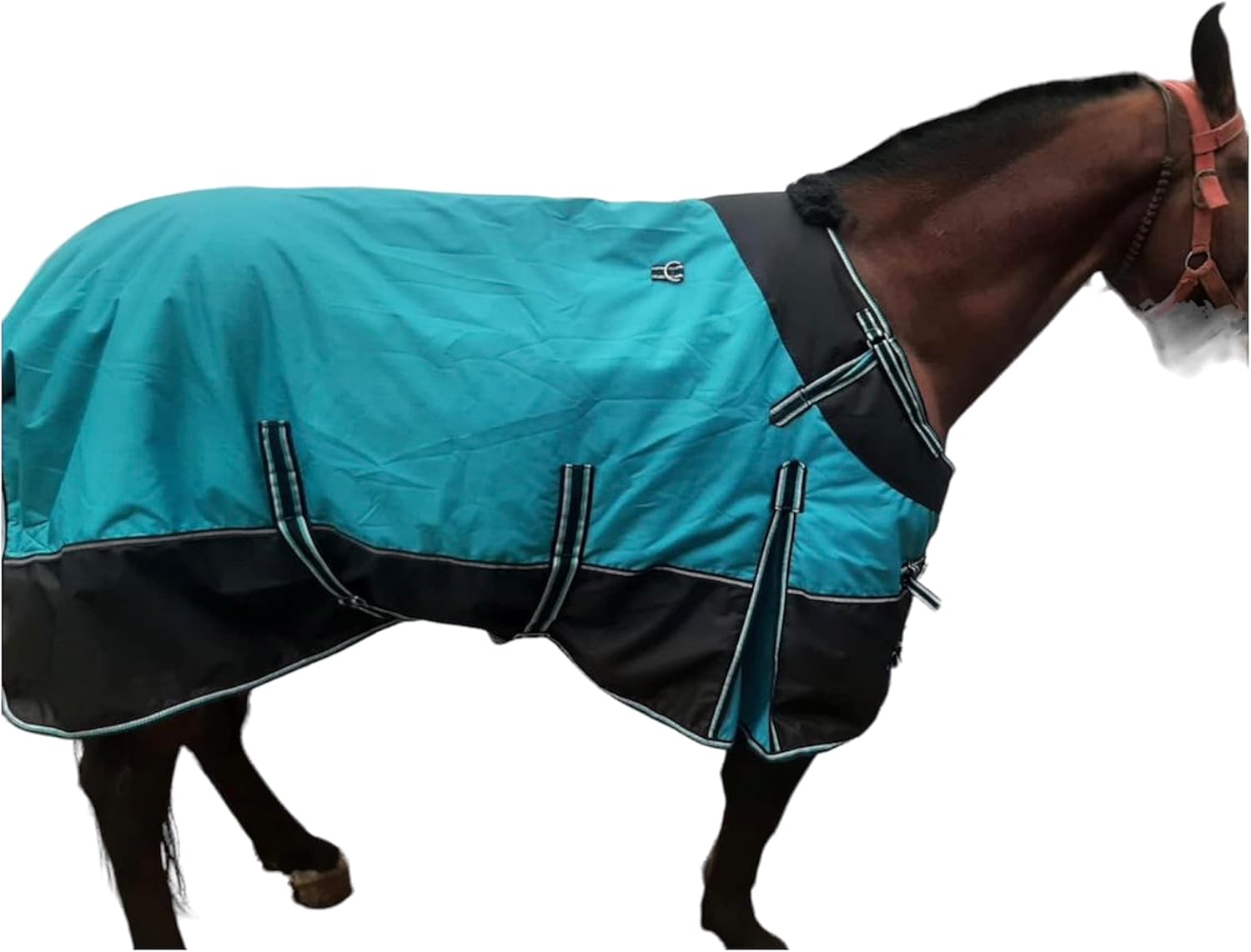 Majestic Ally Reflective Nylon Saddle Pommel Bag - Royal Blue | Western