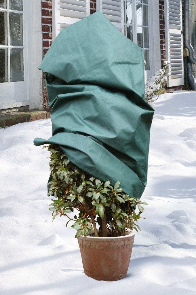 Videx Meyers-Lueters GmbH & Co.KG 27343 Housse De