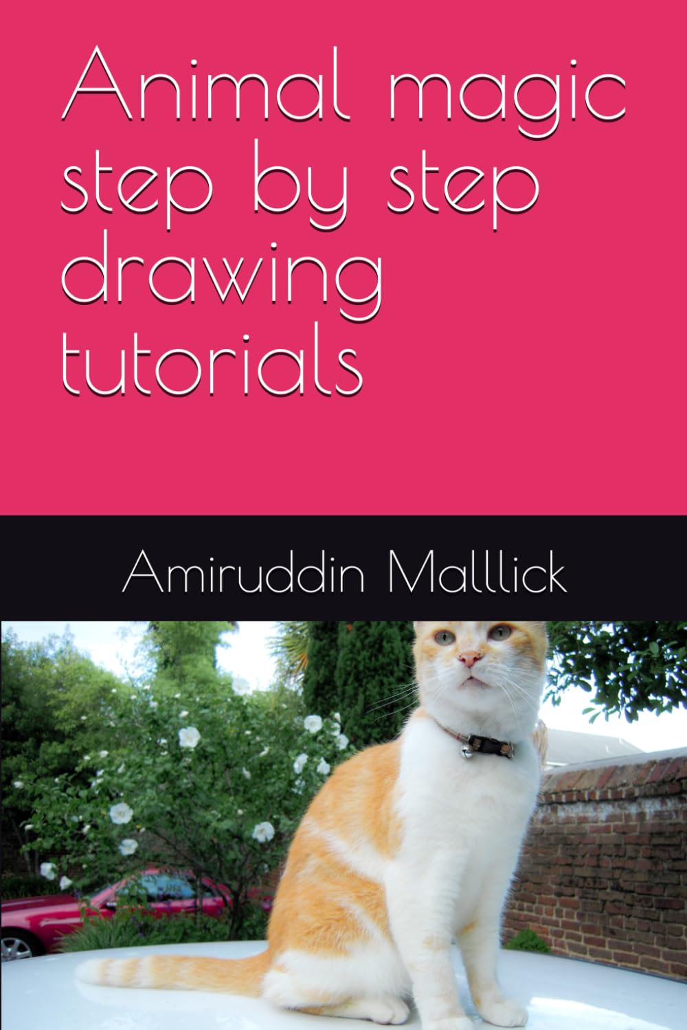 Animal magic step by step drawing tutorials