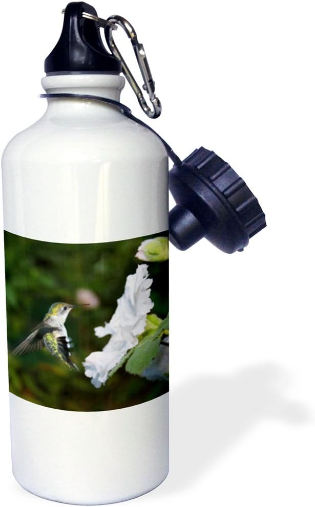 3dRose "Indiana, Indianapolis backyard, hummingbirds US15 AMI0165 Anna Miller" Sports Water Bottle, 21 oz, White