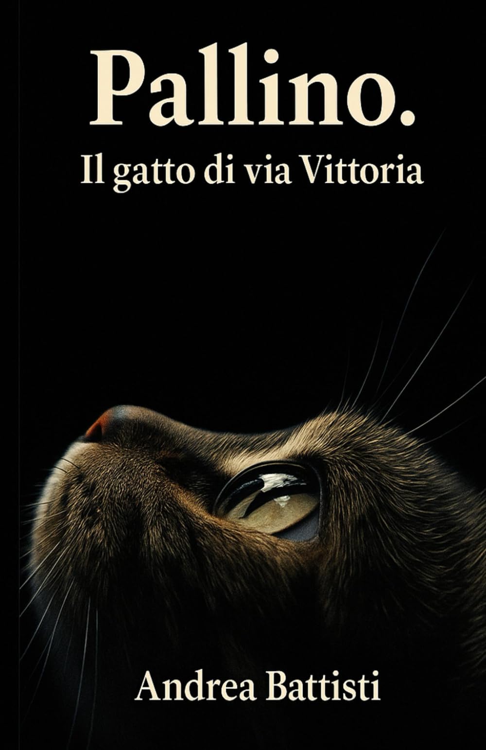 Pallino: Il gatto di Via Vittoria
