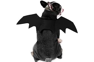 Frightening Dog Bat Costume: The Perfect Halloween Attire for Your Furry Friend