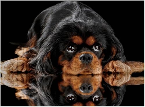 Rompecabezas de 1000 piezas para adultos, lindo Cavalier King Charles Spaniel