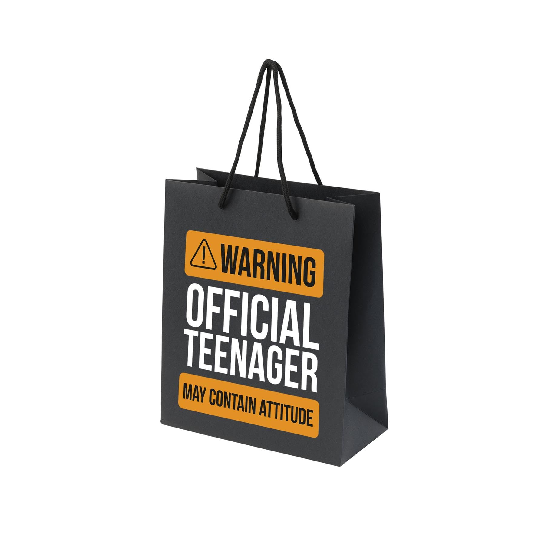 13th Birthday Gift Bags - Paper Gift Bag for Teenage Boys and Girls - Large, Small, Medium Gift Bags with Rope Handles - Recycled Presents Bag - Warning Teenager - BLK-L-P