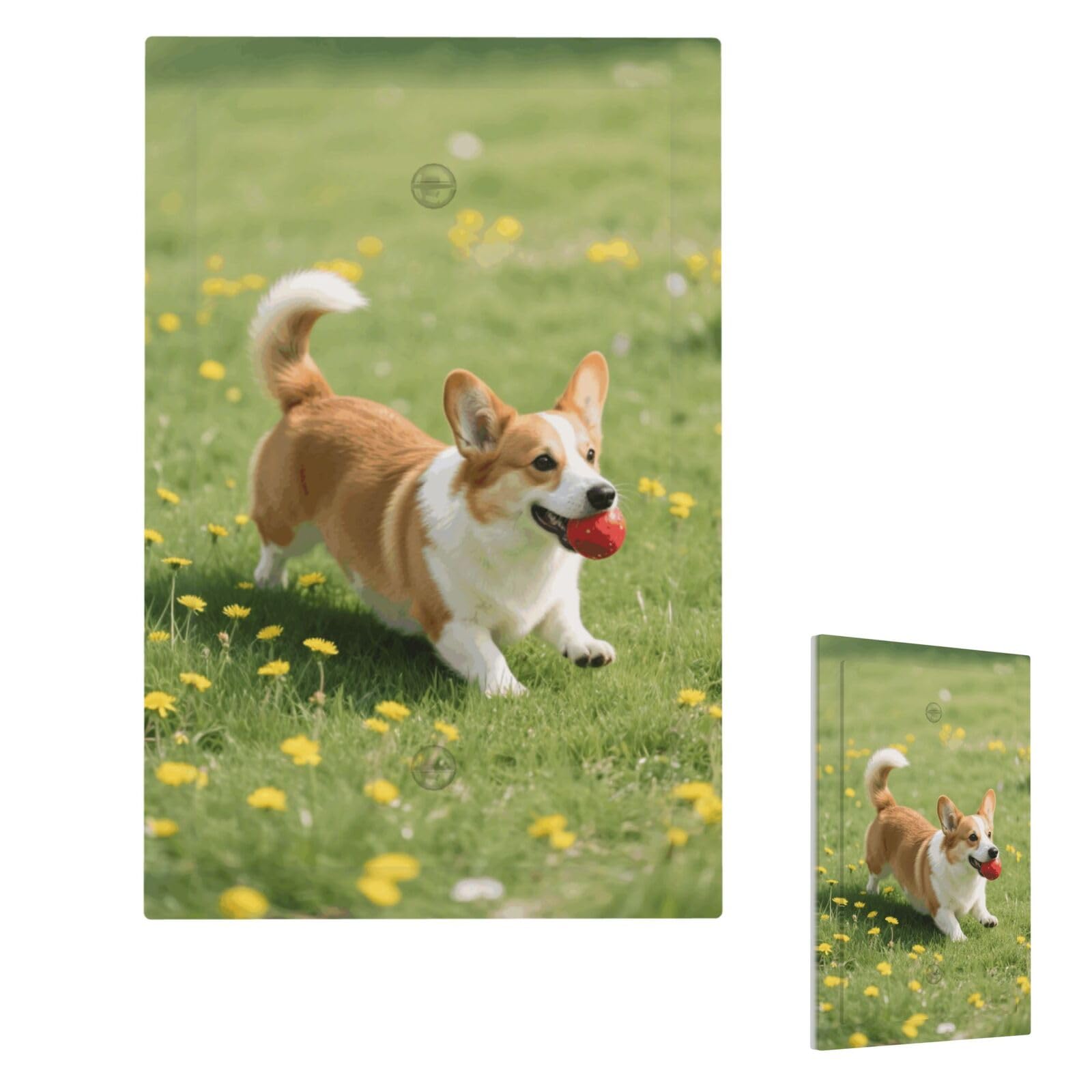 Corgi Wall Plate Cover Modern Decorative 1 Gang Light Switch Cover Unbreakable Receptacle Outlet Covers For Living Room Bedroom Home Decor Single Blank