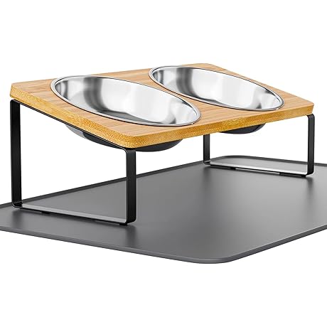 [2-Pack] Elevated Cat Bowls Whisker Friendly,Tilted Cat Food Dish Stand with Non-Slip...