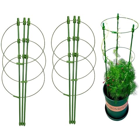 Soportes para Plantas Trepadoras WANTOUTH 3 pcs Cover