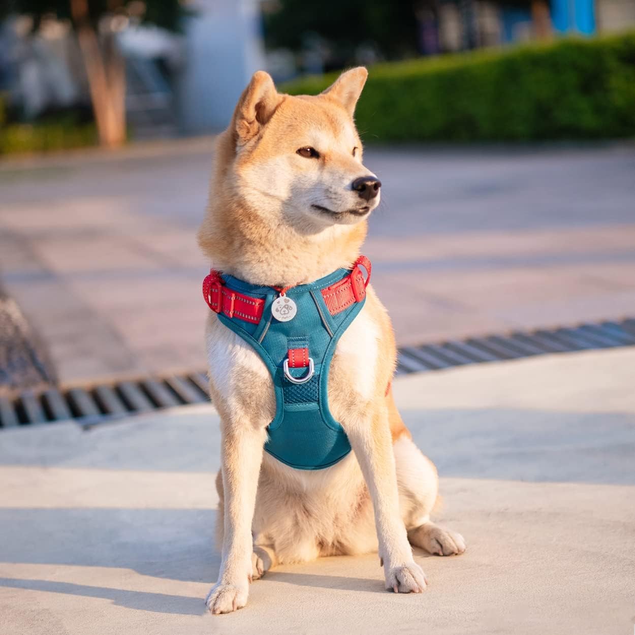 PHOEPET No Pull Dog Harness, Unique Colors Reflective Adjustable Dog Vest - Image 3