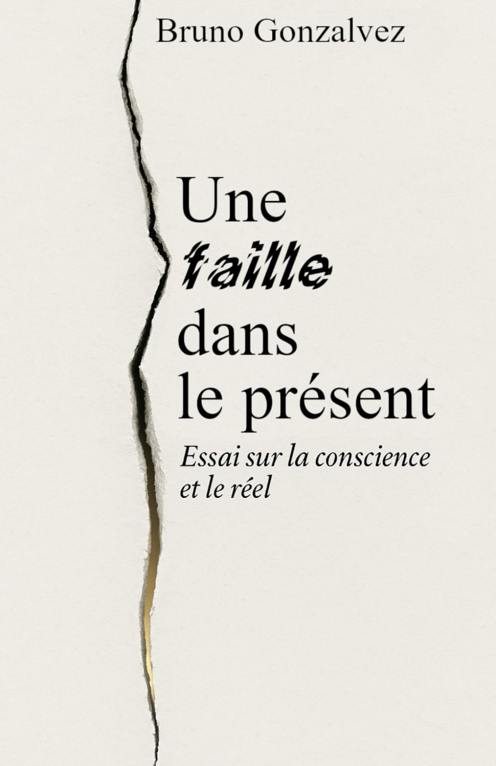 Une Faille Dans Le Présent: Essai sur la conscience et le réel