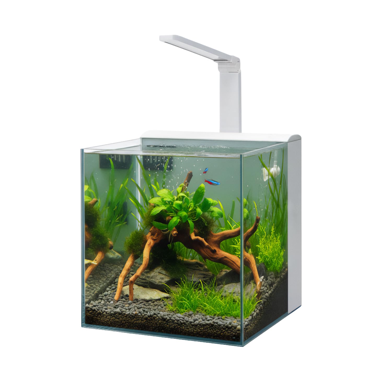 AQPET Acquario Completo Kubic Rear 30x30x30 cm in Vetro Extrachiaro – Con Filtro Posteriore Integrato e Lampada LED – Vasca Cubica Design Moderno (Colore Bianco)