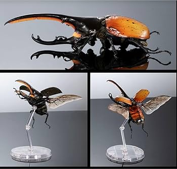 ヘラクレスエクアトリアヌス　美品 Amazon.co.jp: オンライン版 いきもの大図鑑 アドバンス