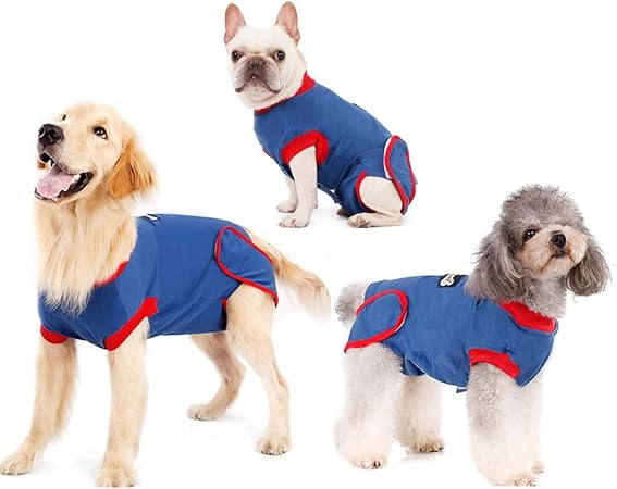 Post surgery suit for dogs Clearance