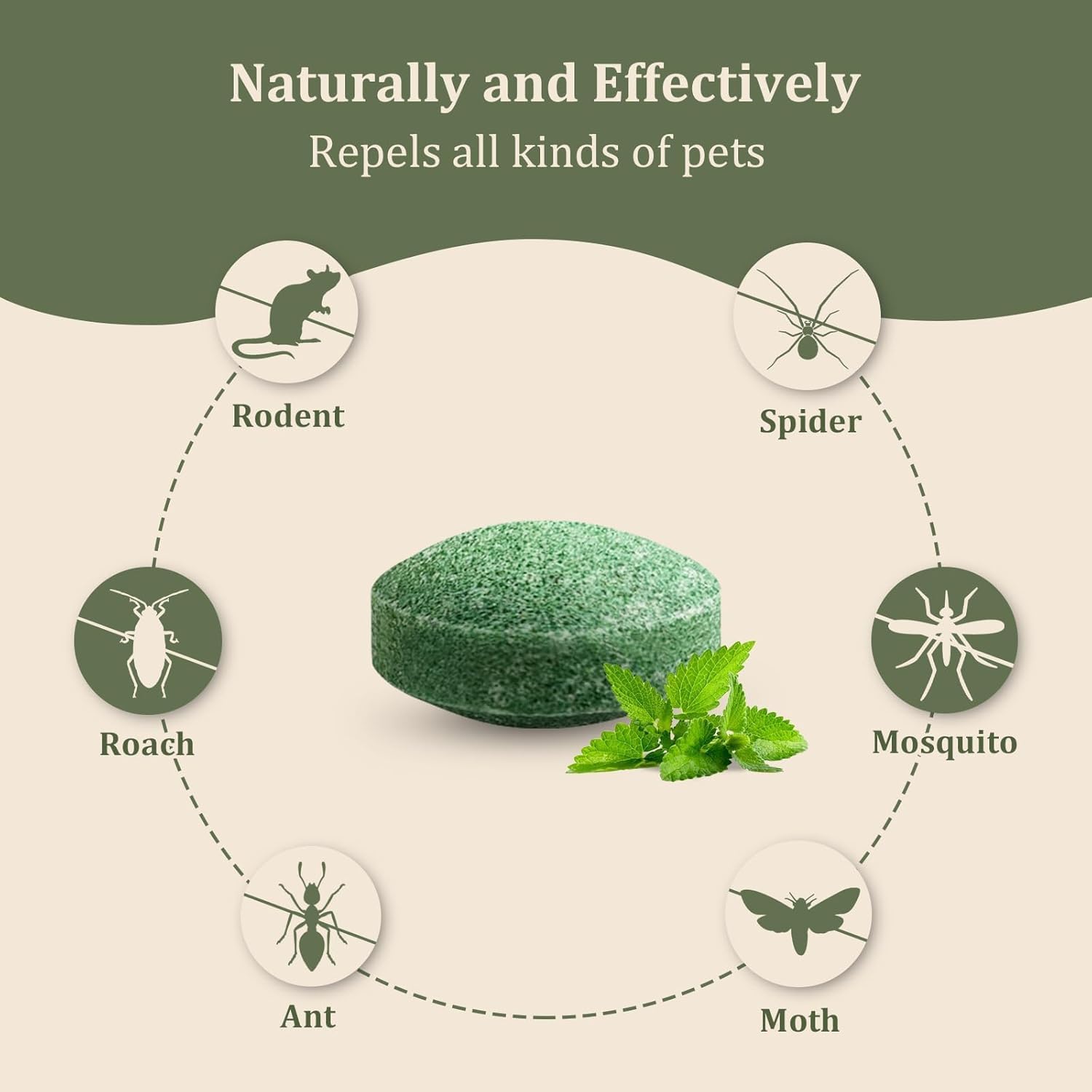 Rat Repellent for Car Home Pack of 1 (8 Tablet) Mouse Peppermint Oil to Protect Wires in Car, Bike & Truck Engine No Kill Only Repels Home Indoor-Outdoor Garage Rat Controller Pills to Keep Rodents Out of Car (8) - Image 3 thumbnail