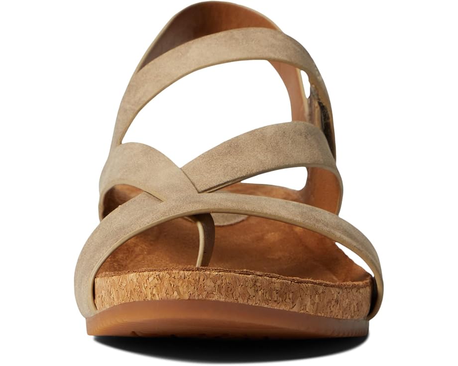 EuroSoft Gianetta - Front View