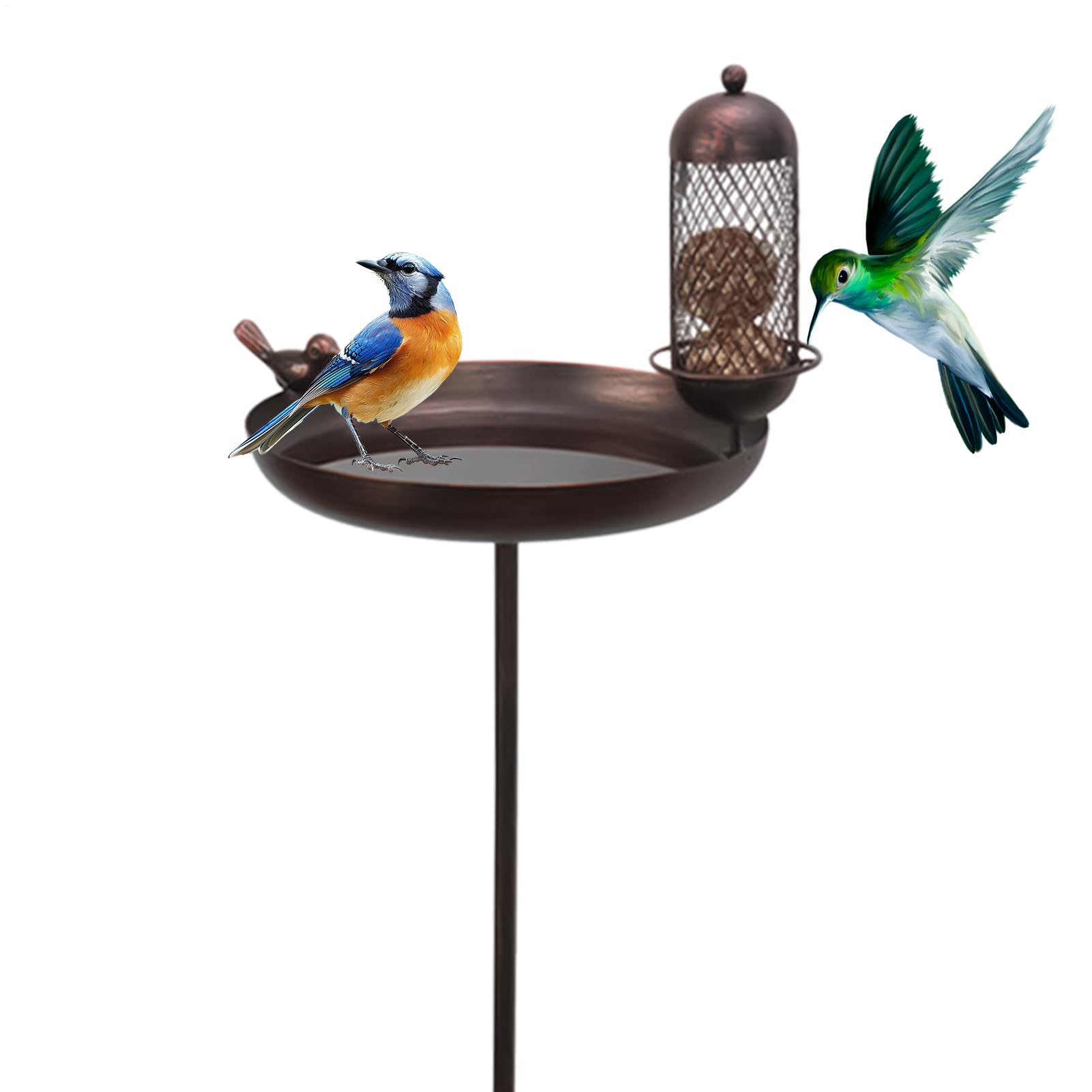 Bain d'oiseau de jardin pour animer votre pelouse de ferme et cour