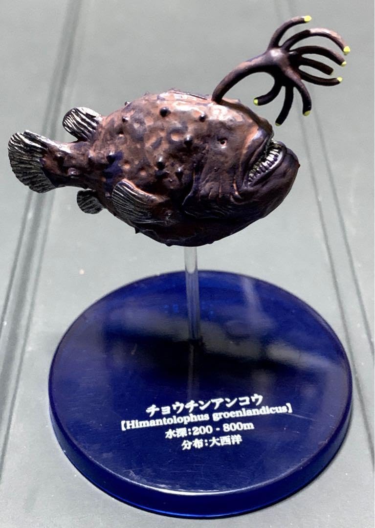 Amazon.co.jp: トミーアーツ 深海魚 チョウチンアンコウ : おもちゃ