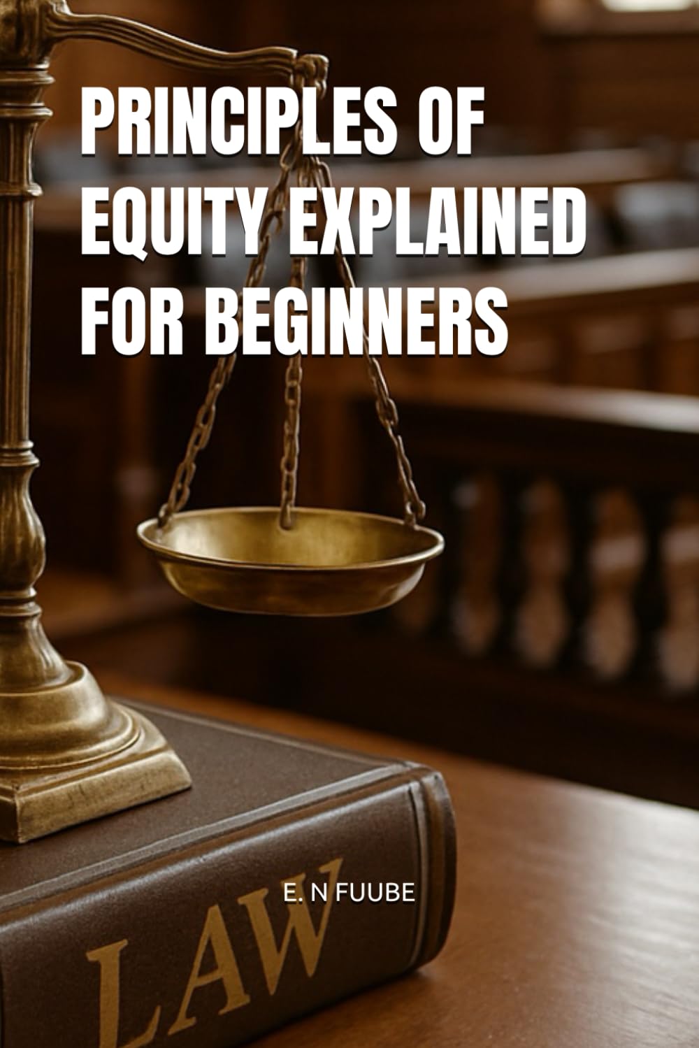 PRINCIPLES OF EQUITY EXPLAINED FOR BEGINNERS