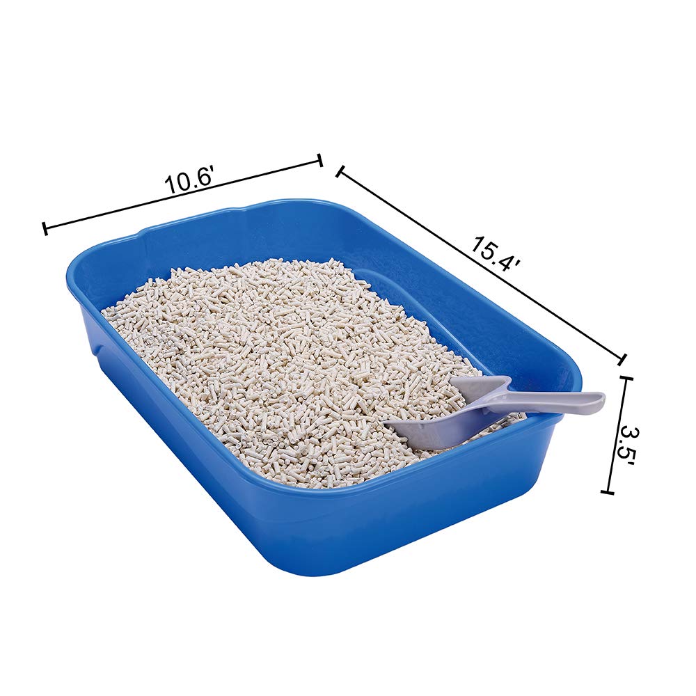 10 Best NonClay Cat Litters In 2023 Reviews Top Picks