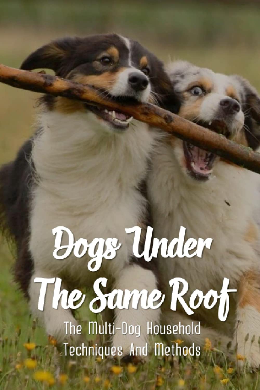 Dogs Under The Same Roof: The Multi-Dog Household Techniques And Methods: Ways To Keep Dogs In The Same House From Fighting