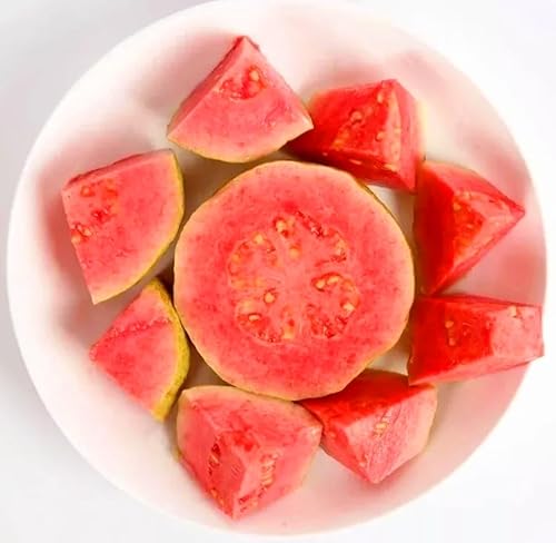 Miniatura 6 de 30 semillas de árbol de guayaba rosa tropical fresa rubí supremo Psidium guajava - Sabores exóticos, hermosas flores PeavyTailor