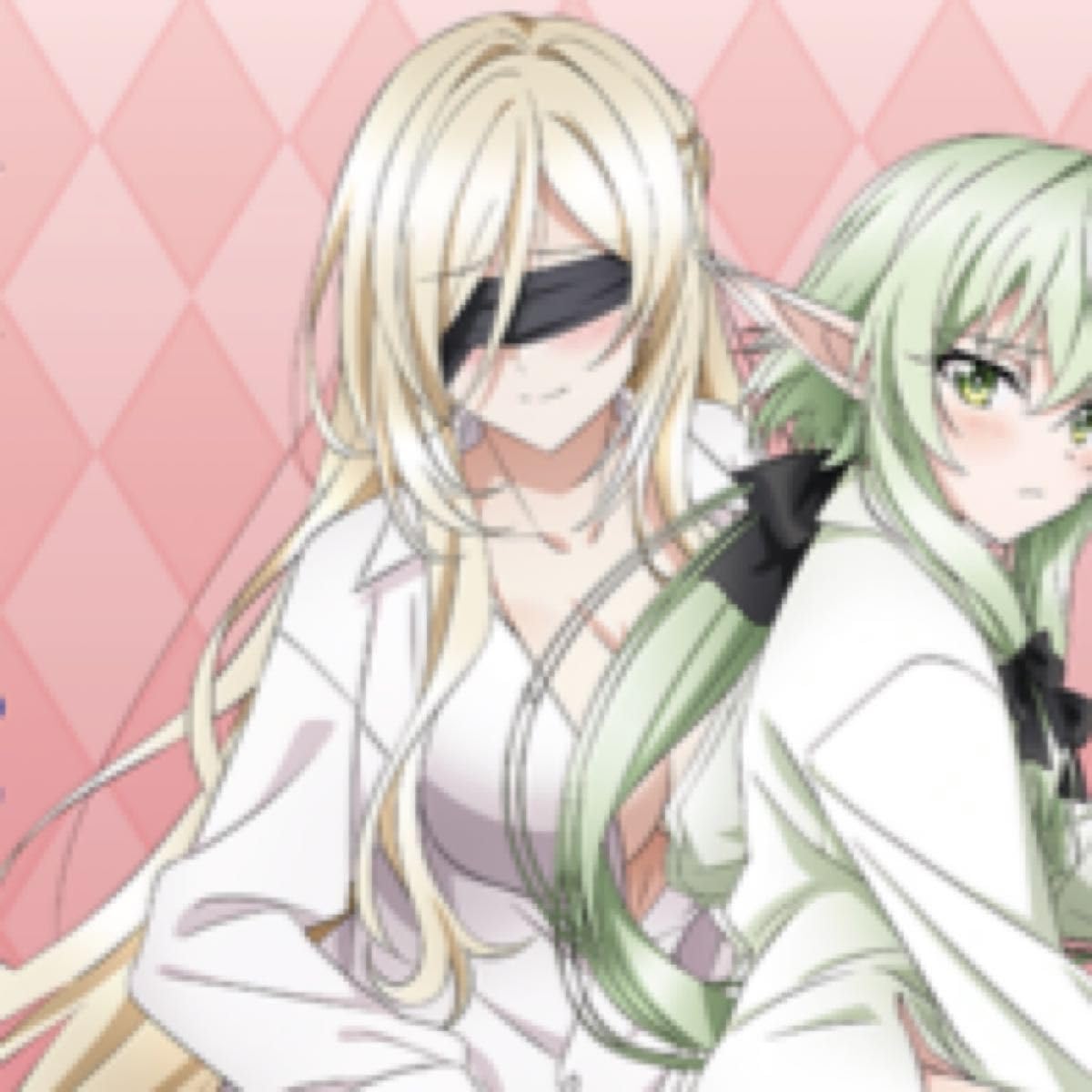 ゴブリンスレイヤー:剣の乙女特大タオル特別版セット 在庫 処