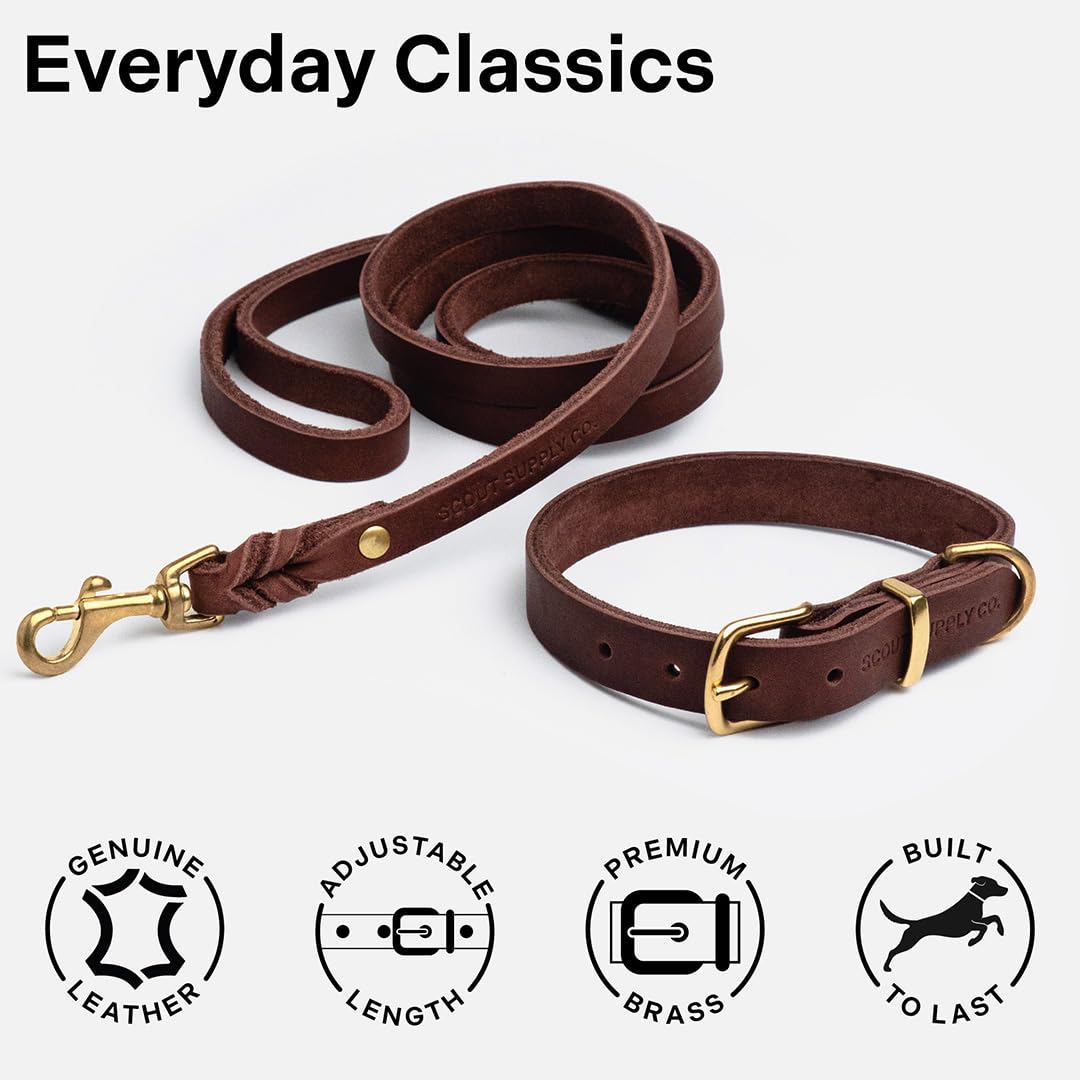 Scout Supply - Collar clásico de cuero para perro, cuero grueso de grano completo, herrajes de latón impermeable y resistente al óxido (marrón oscuro, pequeño)