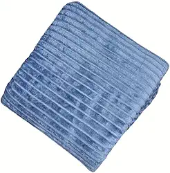 Cobertor Manta Canelada Soft Antialérgico 200m x 180m Microfibra, Casal Lisa (Azul Claro)