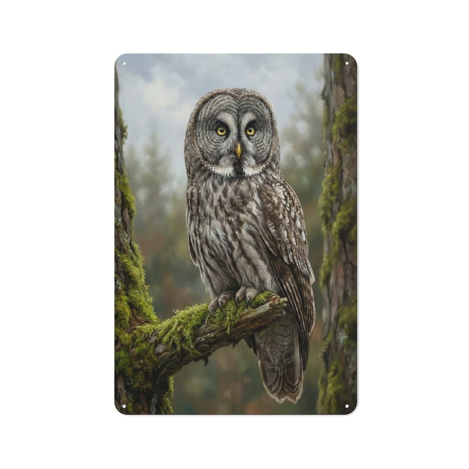 Junmoney Style Great Grey Owl Perched On Mossy Branch Tin Sign 30X20cm For Hallway Wall, Retro Wall Decor, Suited To New Home Decorators